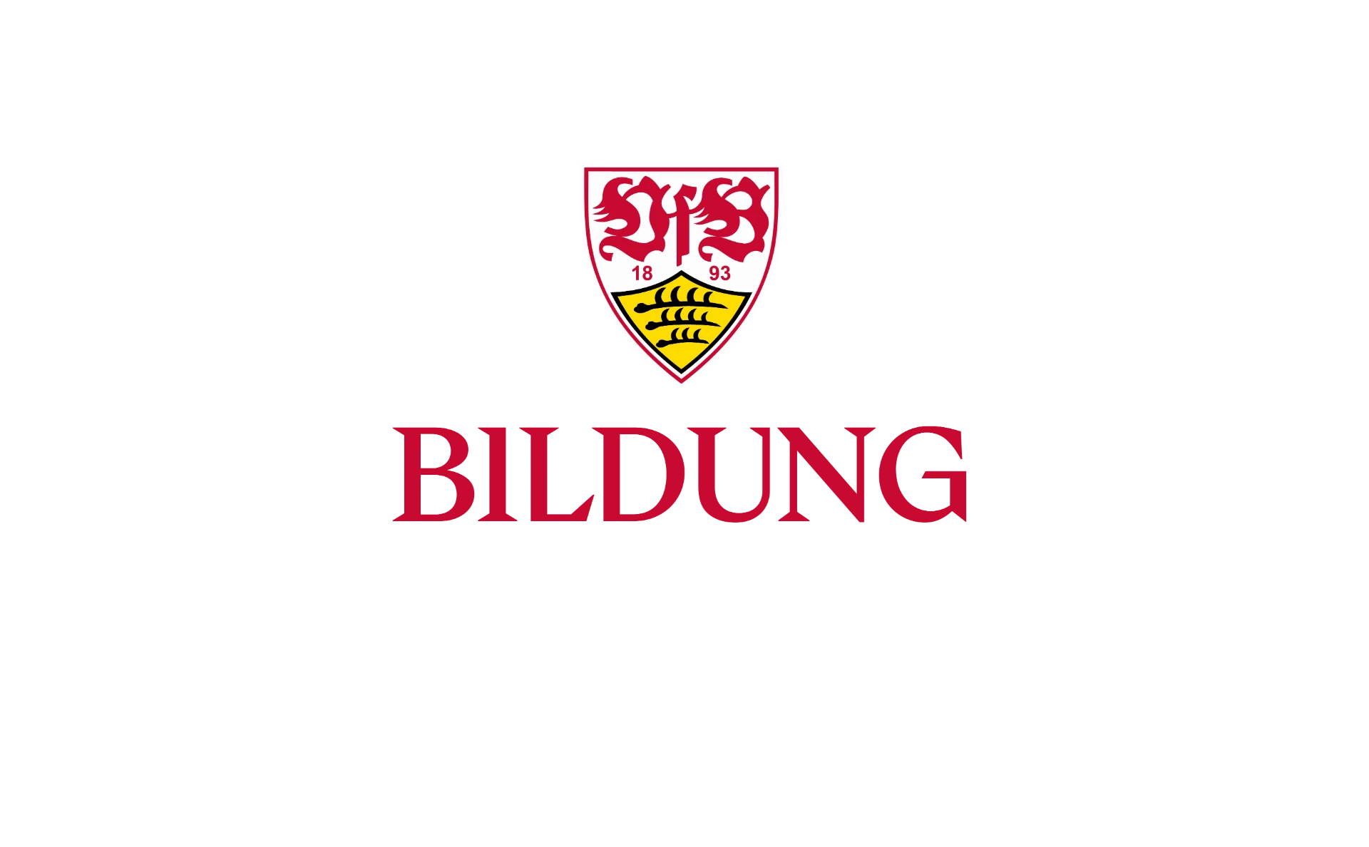 VfB Bildung